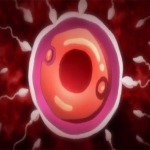 Thumbnail of post image 009